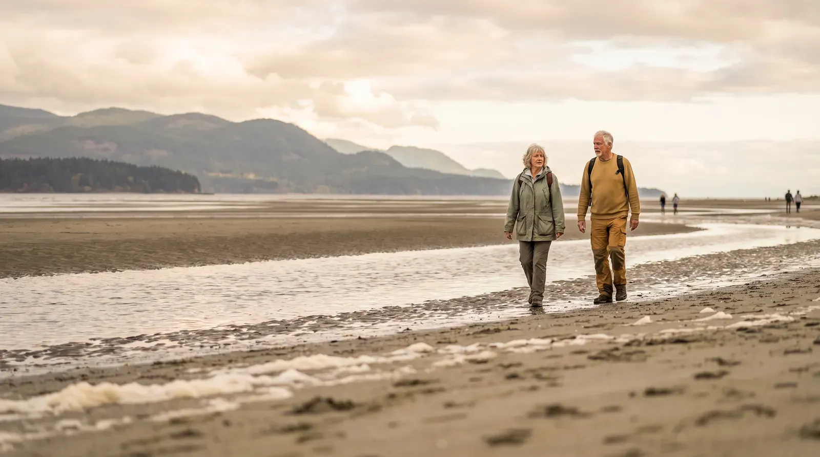 Wide sand flats at low tide with mountains behind